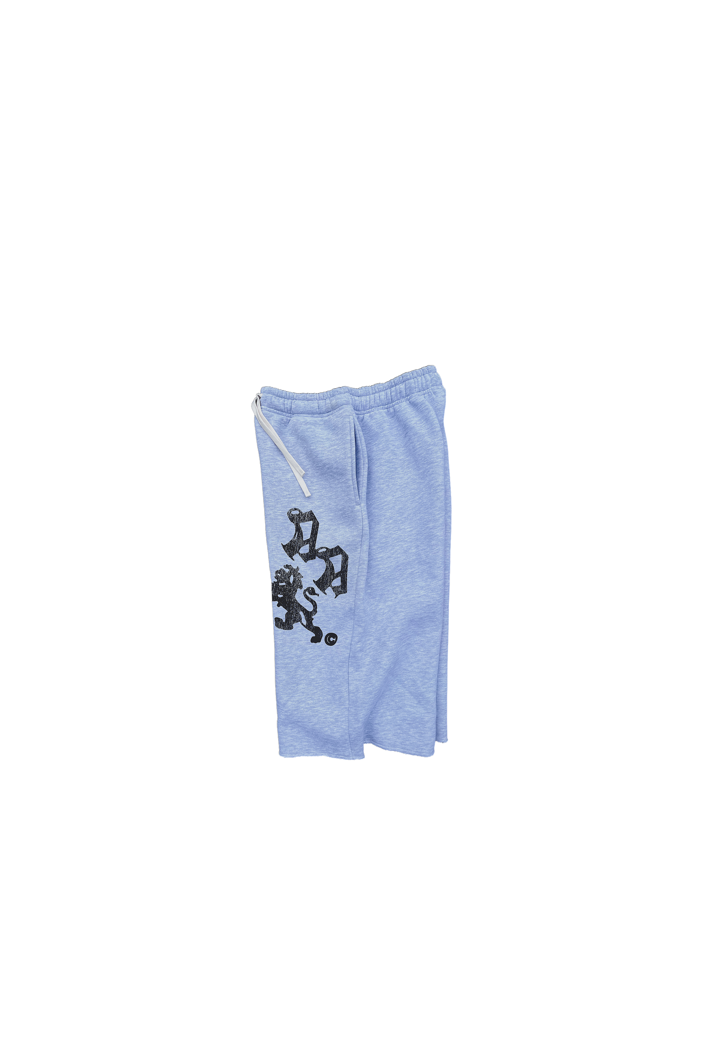 Asset's “Collegiate" 3/4 Baggy Shorts